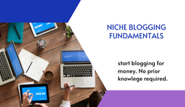 Niche Blogging