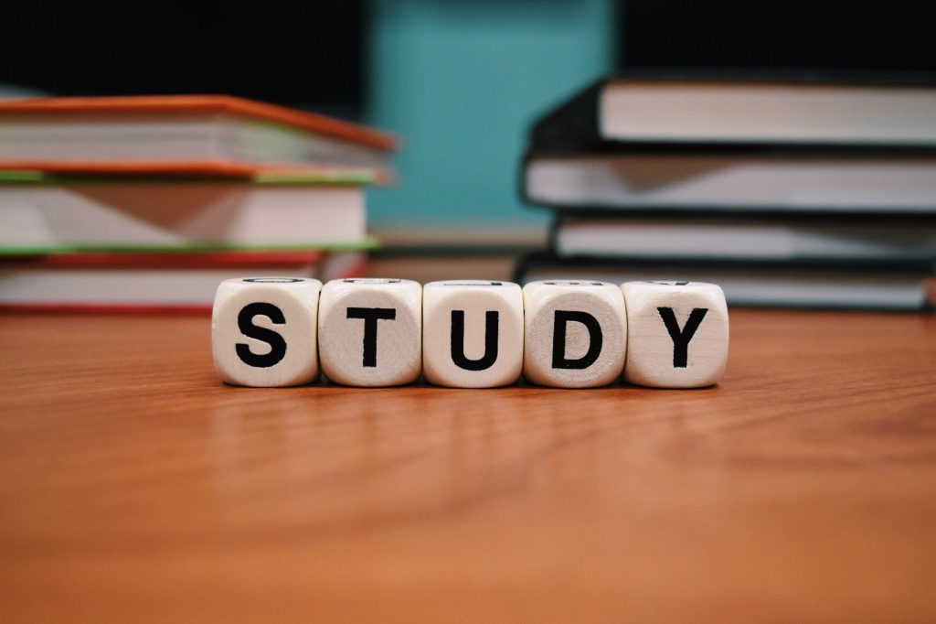 Netherland Scholarship